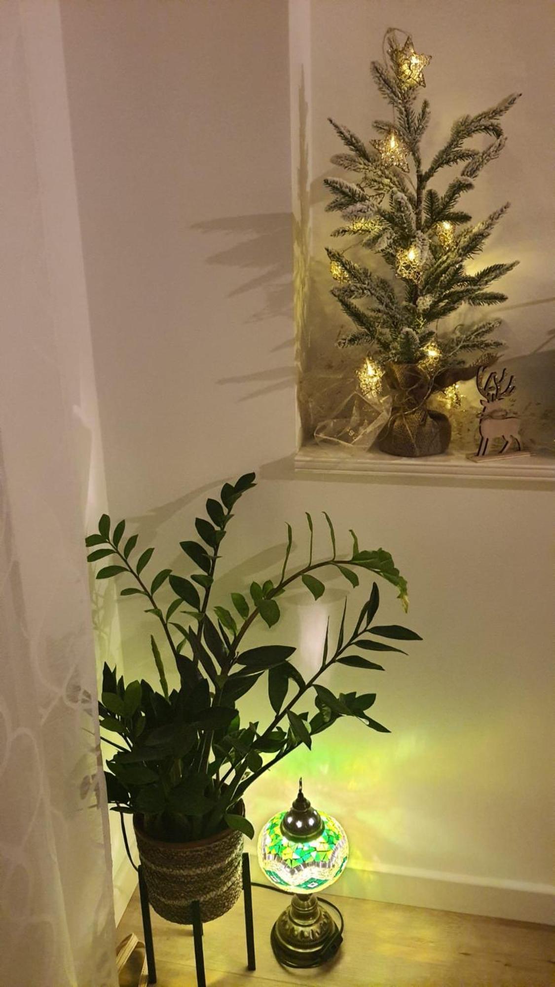Apartman Lili Split Bagian luar foto