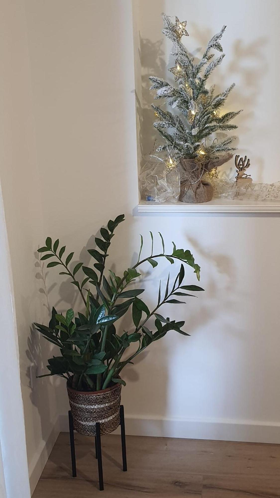 Apartman Lili Split Bagian luar foto